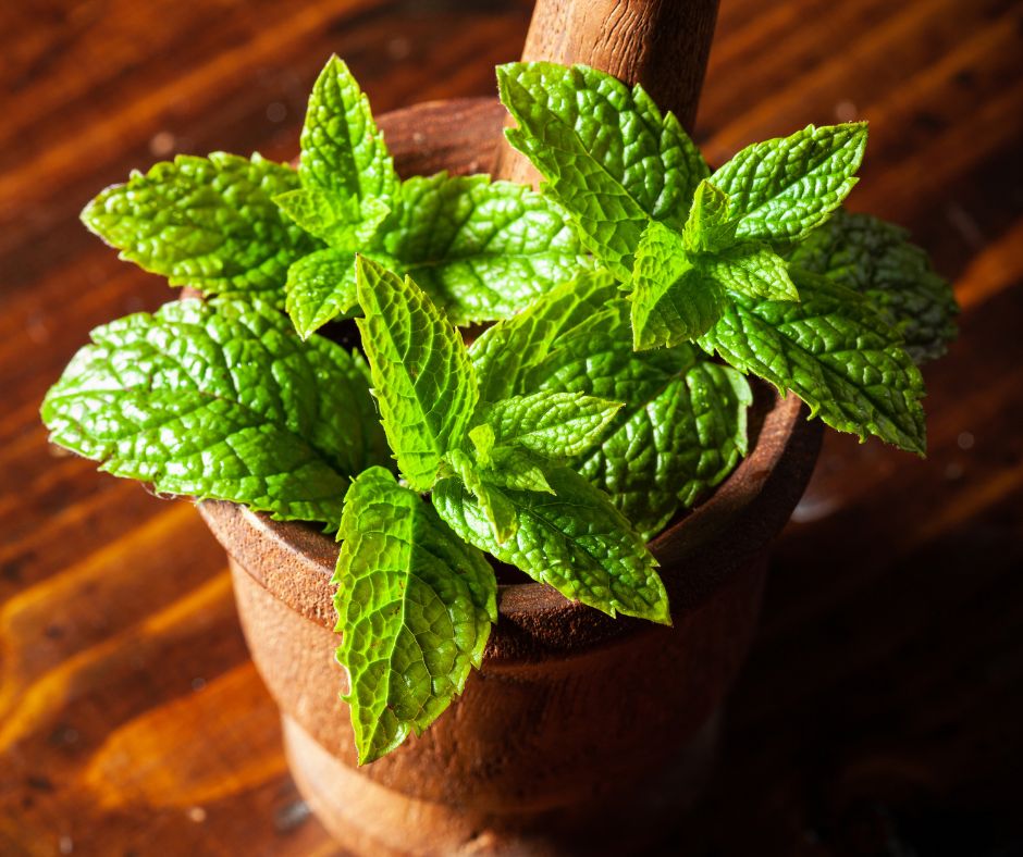 Peppermint Spray: The Refreshing Mist for Mind, Body & Home