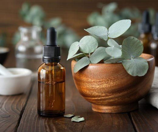 The Benefits of Eucalyptus: An Aussie Essential for Your Summer Wellness Routine - Calm & Cozy