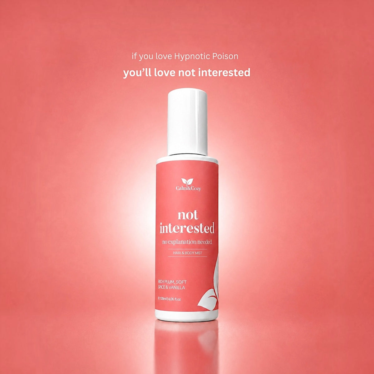 NOT INTERESTED | Plum, Soft Spice & Vanilla Body Mist